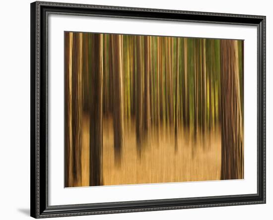 Zadel-David Baker-Framed Photographic Print