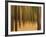 Zadel-David Baker-Framed Photographic Print