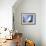 Zaha Hadid Designed Apartments, Spittelau, Vienna, Austria, Europe-Jean Brooks-Framed Photographic Print displayed on a wall