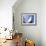 Zaha Hadid Designed Apartments, Spittelau, Vienna, Austria, Europe-Jean Brooks-Framed Photographic Print displayed on a wall