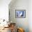 Zaha Hadid Designed Apartments, Spittelau, Vienna, Austria, Europe-Jean Brooks-Framed Photographic Print displayed on a wall