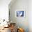 Zaha Hadid Designed Apartments, Spittelau, Vienna, Austria, Europe-Jean Brooks-Framed Photographic Print displayed on a wall