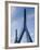 Zakim Bridge, Boston, Massachusetts, USA-Walter Bibikow-Framed Photographic Print