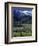 Zakopane, Tatra Mountains, Poland-Walter Bibikow-Framed Photographic Print