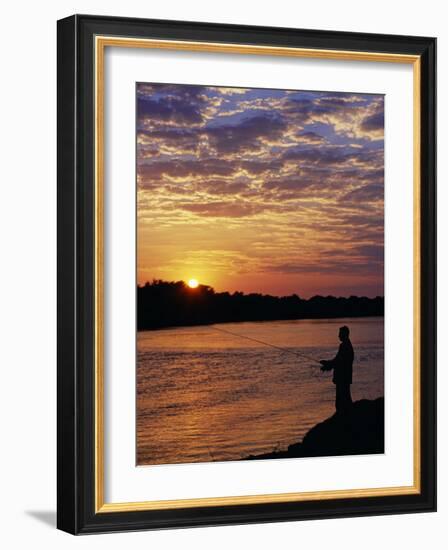 Zambezi National Park, Sausage Tree Camp, Fly-Fishing for Tiger Fish at Sunset on River, Zambia-John Warburton-lee-Framed Photographic Print