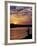 Zambezi National Park, Sausage Tree Camp, Fly-Fishing for Tiger Fish at Sunset on River, Zambia-John Warburton-lee-Framed Photographic Print