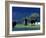 Zambezi River, Male Elephants under Stormy Clouds on the Bank of the Zambezi River, Zimbabwe-John Warburton-lee-Framed Photographic Print