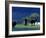 Zambezi River, Male Elephants under Stormy Clouds on the Bank of the Zambezi River, Zimbabwe-John Warburton-lee-Framed Photographic Print