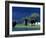 Zambezi River, Male Elephants under Stormy Clouds on the Bank of the Zambezi River, Zimbabwe-John Warburton-lee-Framed Photographic Print