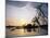 Zambezi River, Zimbabwe, Africa-I Vanderharst-Mounted Photographic Print