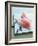 Zander Fillets with Dried Chillies-Matthias Hoffmann-Framed Photographic Print