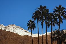 Palm Springs, California-Zandria Muench Beraldo-Photographic Print