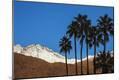 Premium Photographic Print