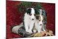 Premium Photographic Print