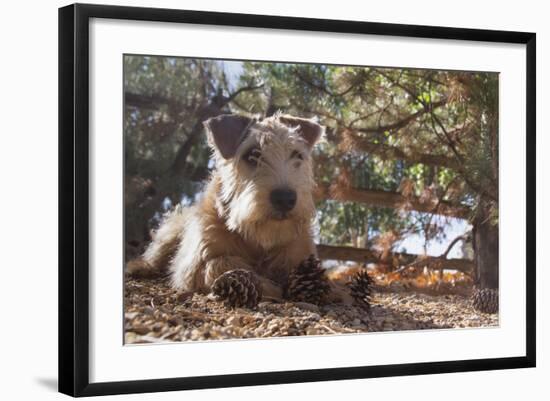 Photographic Print, , large