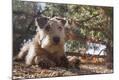 Photographic Print