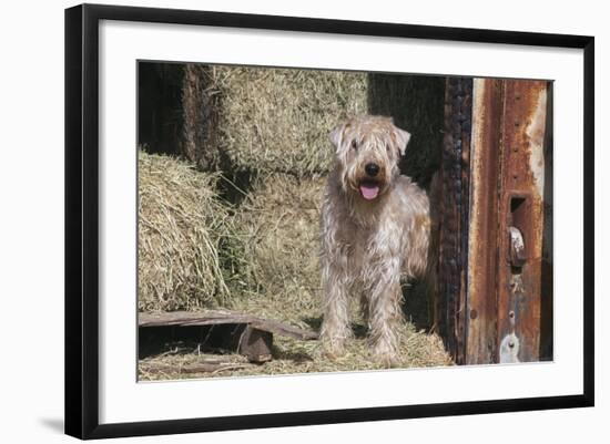 Photographic Print, , large