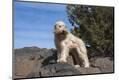 Premium Photographic Print