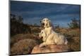Premium Photographic Print