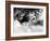 Zanix-Fabio Panichi-Framed Photographic Print