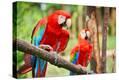 Stretched Canvas Print