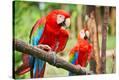Stretched Canvas Print