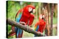 Stretched Canvas Print