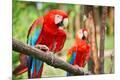 Photographic Print