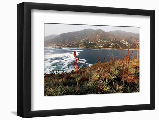 Zapallar coast, central Chile,  South America-David Pickford-Framed Photographic Print