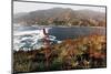 Zapallar coast, central Chile,  South America-David Pickford-Mounted Photographic Print