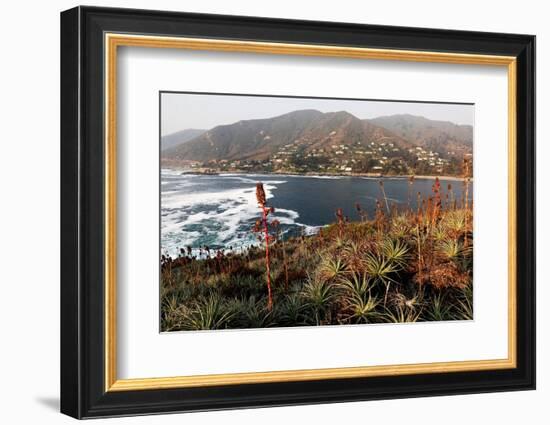 Zapallar coast, central Chile,  South America-David Pickford-Framed Photographic Print