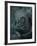 Zape-Fabio Panichi-Framed Photographic Print