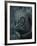 Zape-Fabio Panichi-Framed Photographic Print