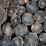 Pile of Wood Logs Ready for Winter Close-Up Texture-Zastolskiy Victor-Mounted Photographic Print