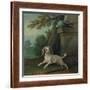 Zaza, the Dog, C.1730-Jean-Baptiste Oudry-Framed Giclee Print