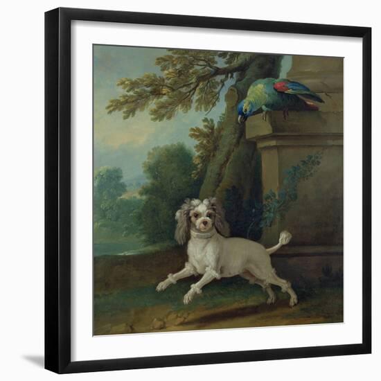 Zaza, the Dog, C.1730-Jean-Baptiste Oudry-Framed Giclee Print