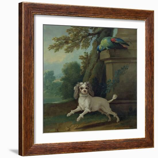 Zaza, the Dog, C.1730-Jean-Baptiste Oudry-Framed Giclee Print