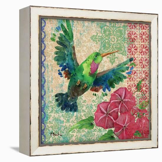 Zealous Hummingbird I-Paul Brent-Framed Stretched Canvas