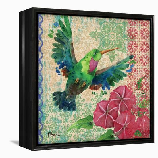 Zealous Hummingbird I-Paul Brent-Framed Stretched Canvas