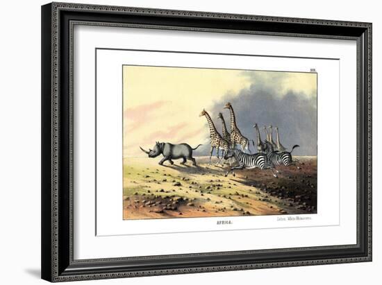 Zebra, 1860-null-Framed Giclee Print