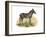 Zebra, 1860-null-Framed Giclee Print