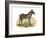 Zebra, 1860-null-Framed Giclee Print