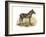 Zebra, 1860-null-Framed Giclee Print