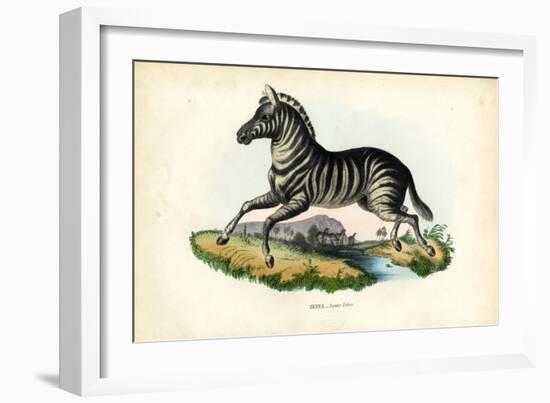 Zebra, 1863-79-Raimundo Petraroja-Framed Giclee Print