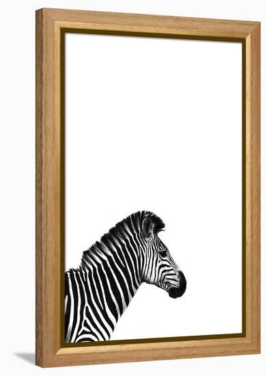 Zebra 2-Incado-Framed Premier Image Canvas