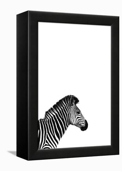 Zebra 2-Incado-Framed Premier Image Canvas