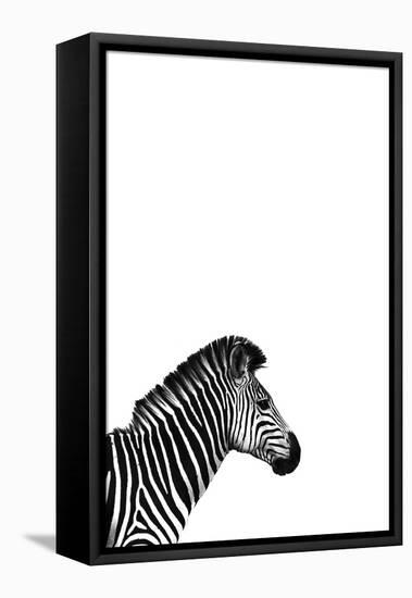 Zebra 2-Incado-Framed Premier Image Canvas