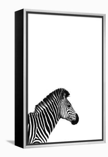 Zebra 2-Incado-Framed Premier Image Canvas