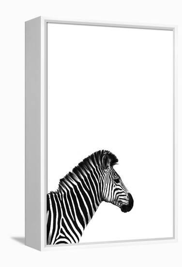 Zebra 2-Incado-Framed Premier Image Canvas