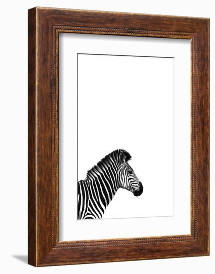 Zebra 2-Incado-Framed Photographic Print